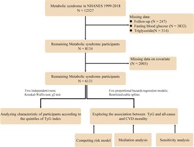 Oxidative stress mediates the association between triglyceride-glucose index and risk of cardiovascular and all-cause mortality in metabolic syndrome: evidence from a prospective cohort study